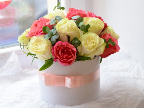 Pink Coquet Pink Coquet